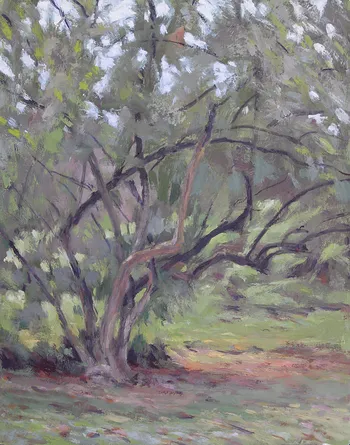 Painting Oil_Mid Summer Bush_11x14